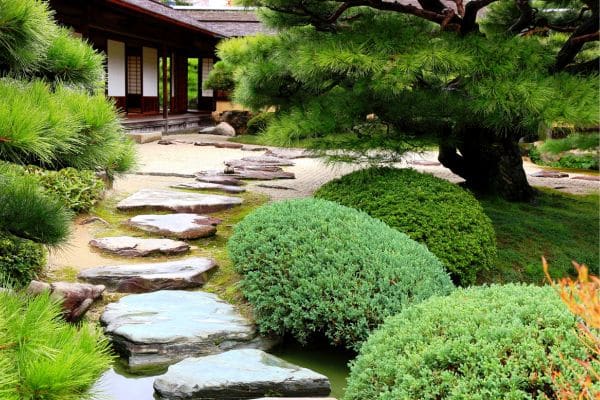 Building a Zen Garden