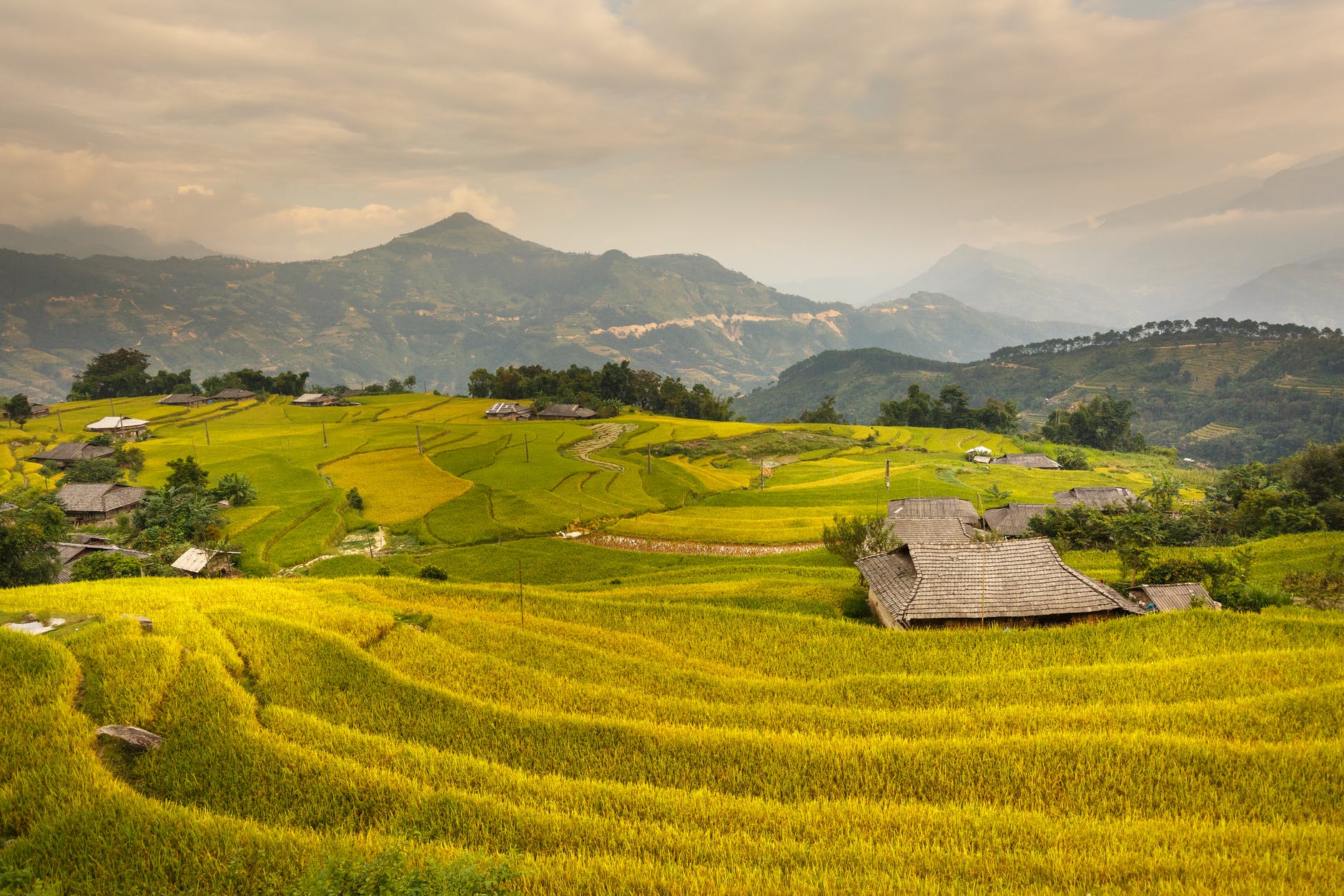 photo of rice terraces during daytime