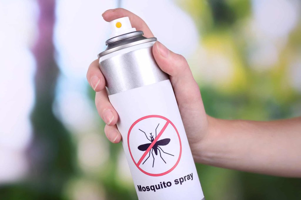 Mosquito-Borne Diseases To Watch For