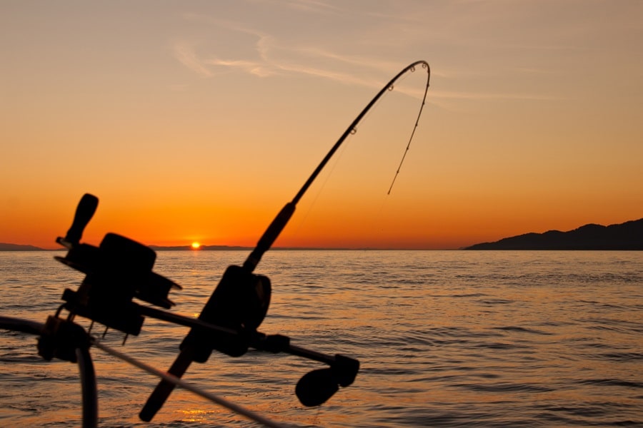 7 Best States For Record Fishing