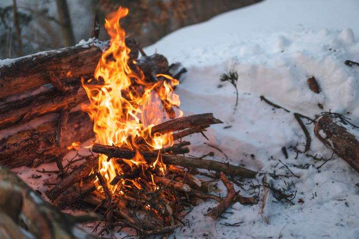 Mastering The Art Of Winter Survival Skills