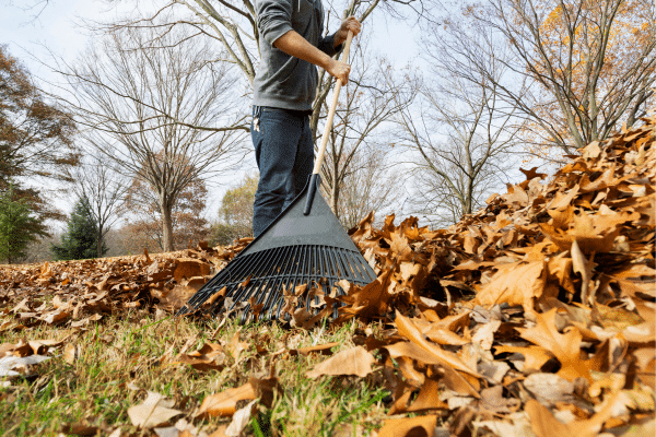 Ways To Clean Up Leaves Fast