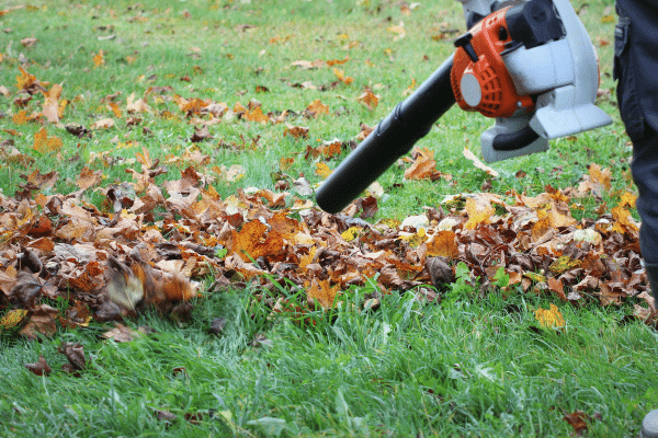 Ways To Clean Up Leaves Fast