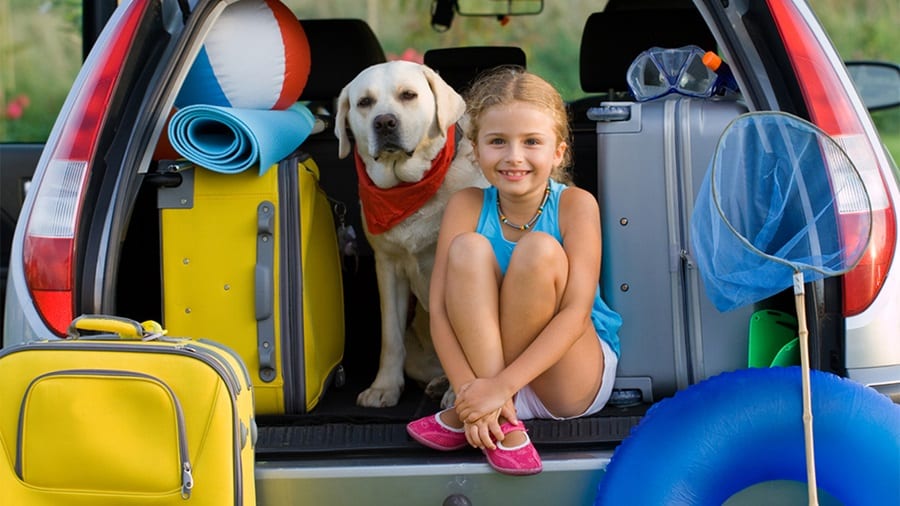 The Ultimate Checklist for Traveling with Pets