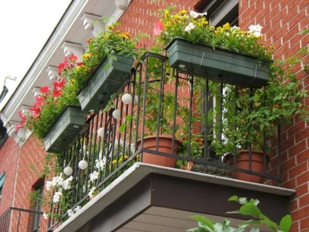 Essential Tips for a Thriving Balcony Garden