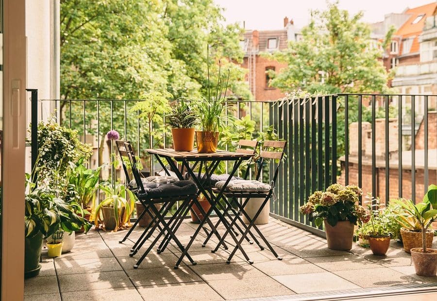 Essential Tips for a Thriving Balcony Garden